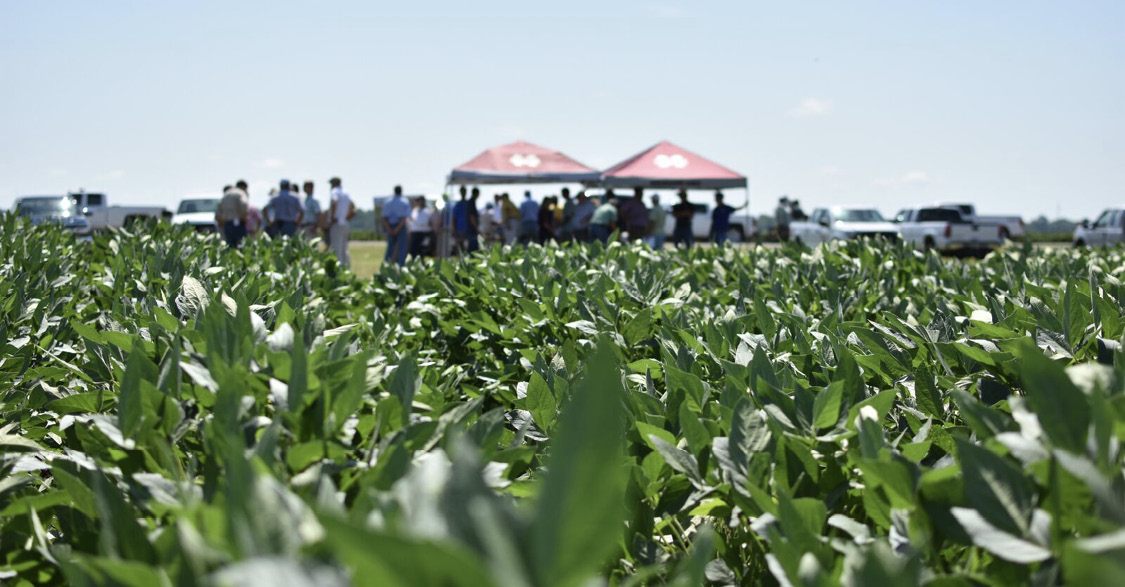 Close-up of a field with a field event taking place under tents in the distance.