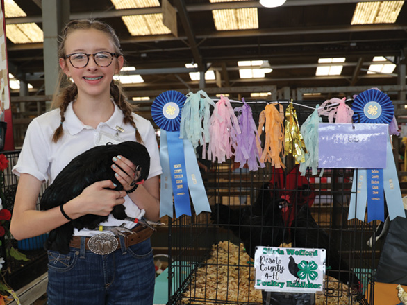 A young girl in glasses holds her bird while standing in front of a cage decorated with blue prize ribbons. 