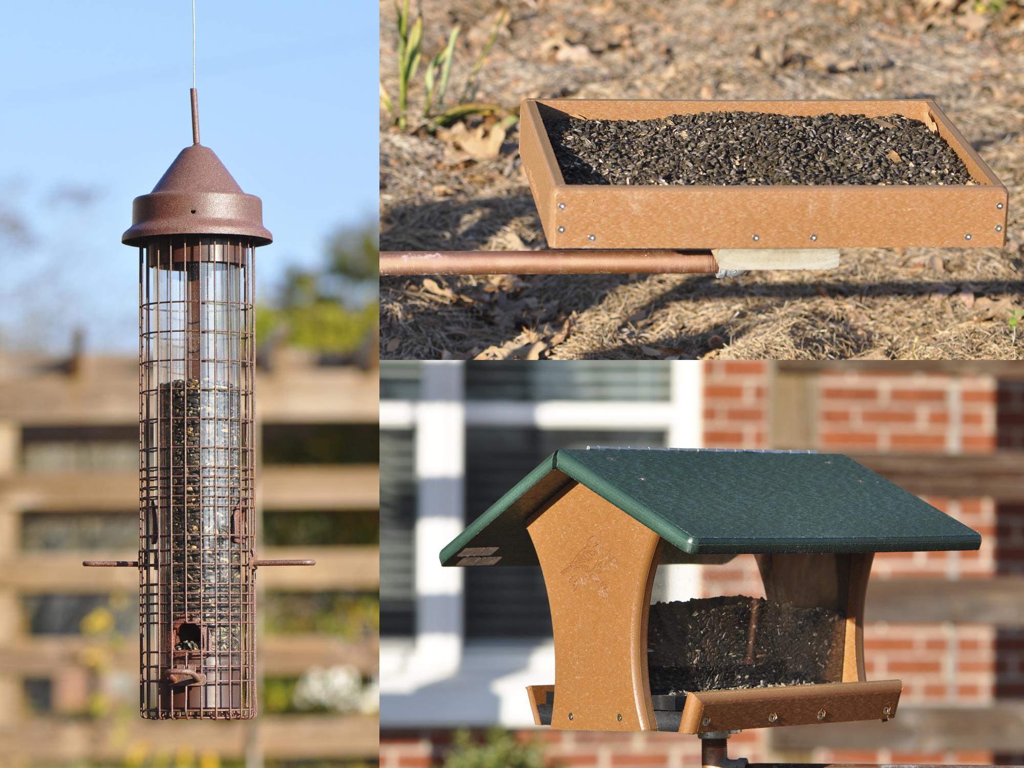 Different birdfeeder styles appeal to different bird species, so installing a greater variety of feeders will attract diverse birds. Most backyard bird species prefer black oil sunflower seeds. (Photos by MSU Extension Service/Adam Rohnke)