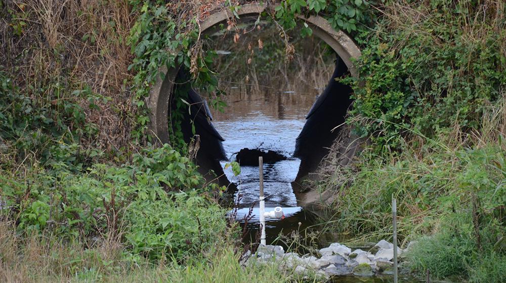 Water monitoring station in front of culvert.