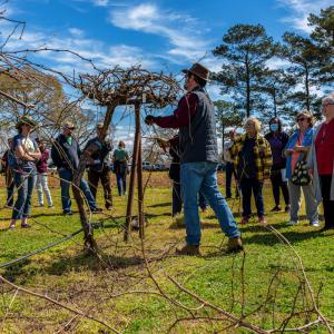 A man standing in a vineyard and wearing a cowboy hat speaking to a group of people.