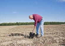 Larry Oldham, Mississippi State University soil specialist, samples soil in a Delta field on Oct. 17, 2014. (Photo by MSU Ag Communications/Kat Lawrence)