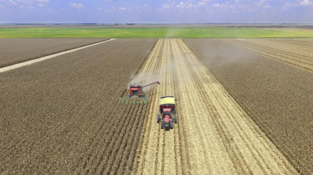 A combine and tractor in the center of a corn field