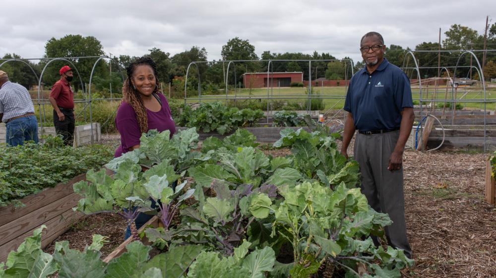 A man and woman stand on either side of a planter box full of leafy green plants; the box is one of many in a small community garden.
