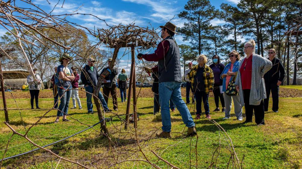 A man standing in a vineyard and wearing a cowboy hat speaking to a group of people.