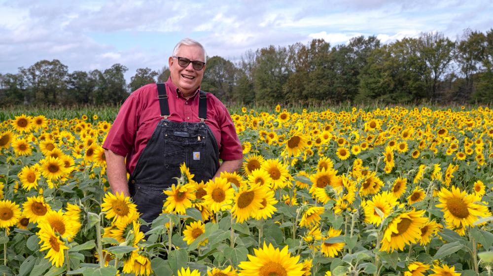 A person wearing overalls and standing in field of blooming sunflowers.