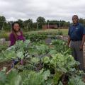 A man and woman stand on either side of a planter box full of leafy green plants; the box is one of many in a small community garden.