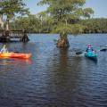 Two children kayaking on the water.