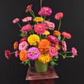 A arrangement of pink, orange and yellow zinnias sit on a stool against a black background.