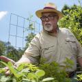 Hattiesburg pharmacist Jim Murray grows vegetables and herbs on a salad table. The raised plant beds are built and distributed by Master Gardener volunteers trained by the Mississippi State University Extension Service. (Photo by MSU Extension Service/Kevin Hudson)