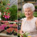 Customers still can find unusual items such as this fuchsia plant (left photo), at The Flower Center in Vicksburg. Bobbie Beard (right), former owner, began the successful horticulture business in her backyard 30 years ago. Her son and daughter-in-law now own the nursery. (Photos by MSU Extension Service/Kevin Hudson)