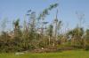 Timber took a beating from several tornadoes that went across the state April 27. This timber along Highway 403 in Mathiston was in an area among the hardest hit that day. (Photo by Kat Lawrence)