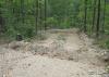 A single-lane dirt road runs through a green forest with a slightly raised dirt structure running across from one side to the other and another similar diversion several yards further up the road.