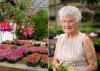 Customers still can find unusual items such as this fuchsia plant (left photo), at The Flower Center in Vicksburg. Bobbie Beard (right), former owner, began the successful horticulture business in her backyard 30 years ago. Her son and daughter-in-law now own the nursery. (Photos by MSU Extension Service/Kevin Hudson)