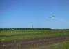 Nitrogen is applied to rice fields as urea, which is being sprayed by aerial application on this preflood field in Washington County, Mississippi, in June 2015. (Photo by MSU Extension Service/Lee Atwill)