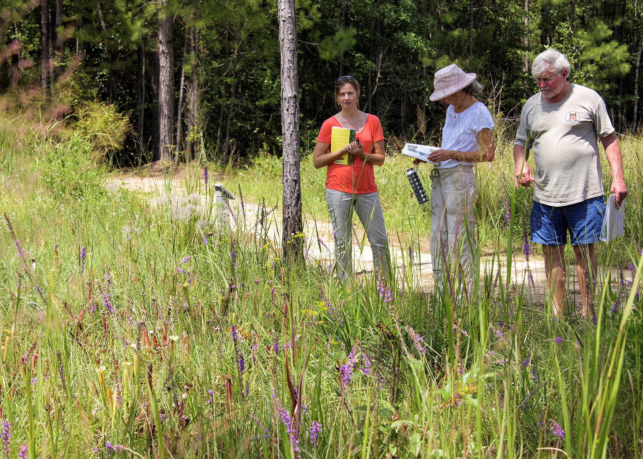 Two women and one man take in a field of native flowers and grasses at the Mississippi State University Crosby Arboretum during a class field trip.