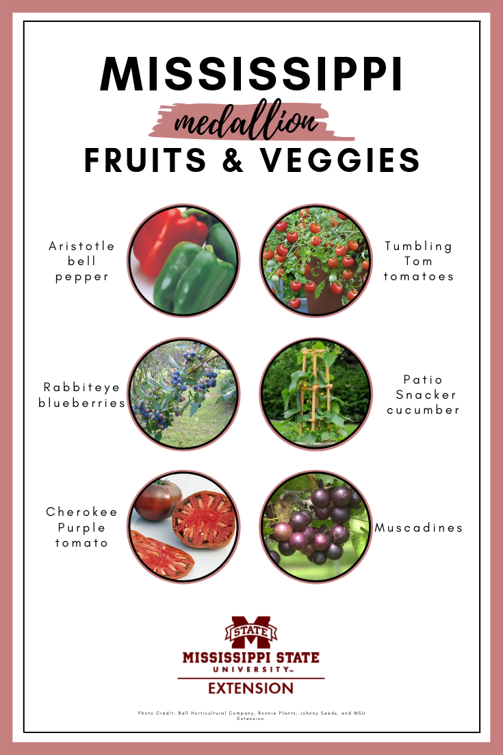 A graphic shows six Mississippi Medallion plant selections in circular photos placed evenly in the center of a white background. 
