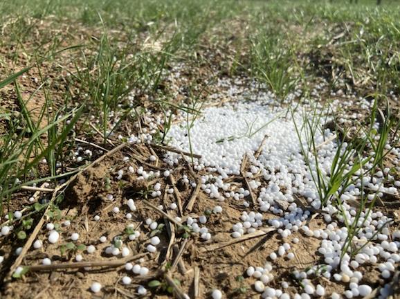 Fertilizer in grass.