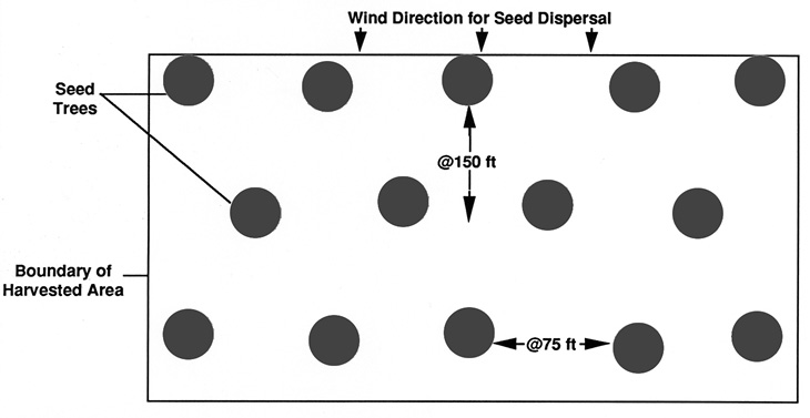 This diagram is described in the text.