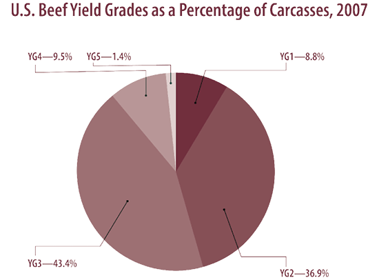 Pie chart. U.S. beef yield grades vary between 1 and 5. As a percentage, they were YG1, 8.8%; YG2, 36.9%; YG3, 43.4%; YG4, 9.5%, and YG5, 1.4%.  