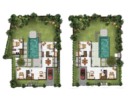 A homesite landscape illustration showing where different palm trees should be placed.