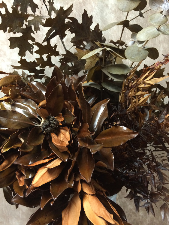 Brown magnolia leaf bunches and other brown vegetation.