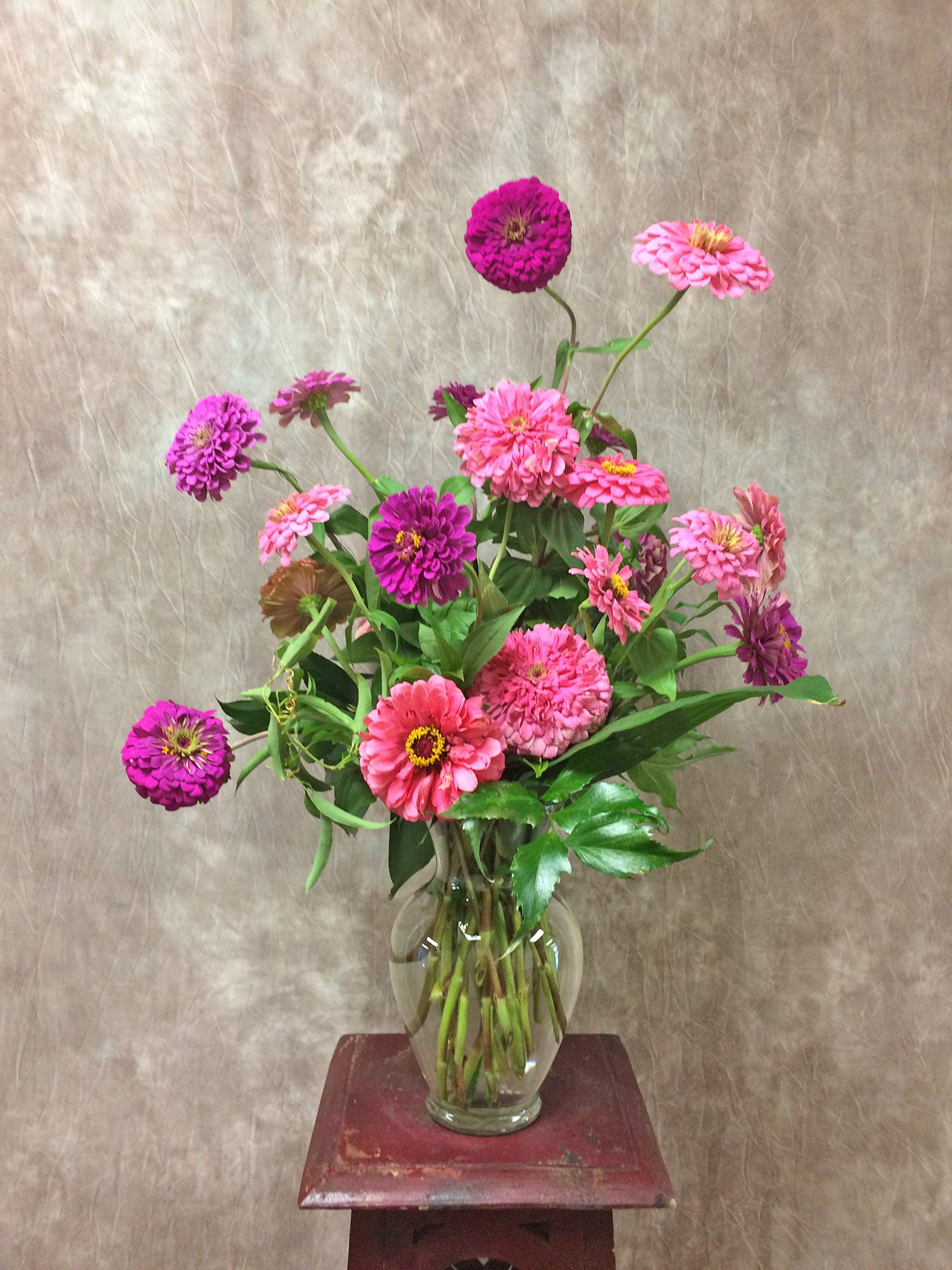 An arrangement of zinnias in various heights and shades of pink in a glass vase. 