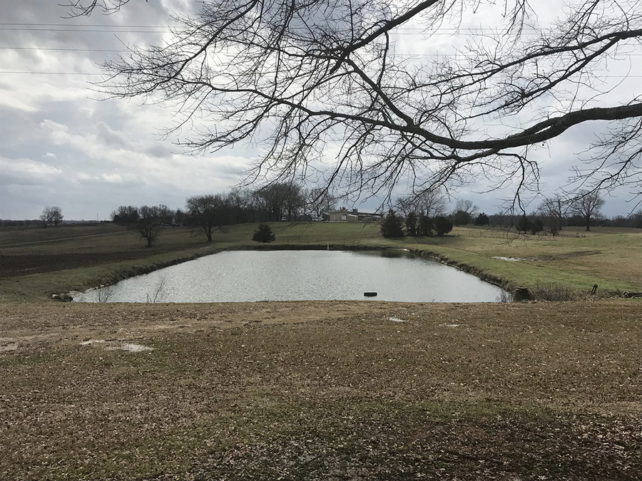 A rectangular body of water surrounded by grass, agricultural fields, and a few trees.