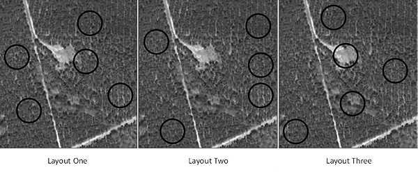 This image shows three arranangements of plots in a stand of trees. This is discussed in more detail in the text.