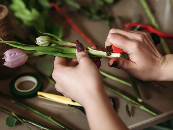 A person cuts a flower stem.