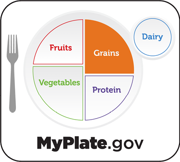 MyPlate.gov graphic highlighting grains.