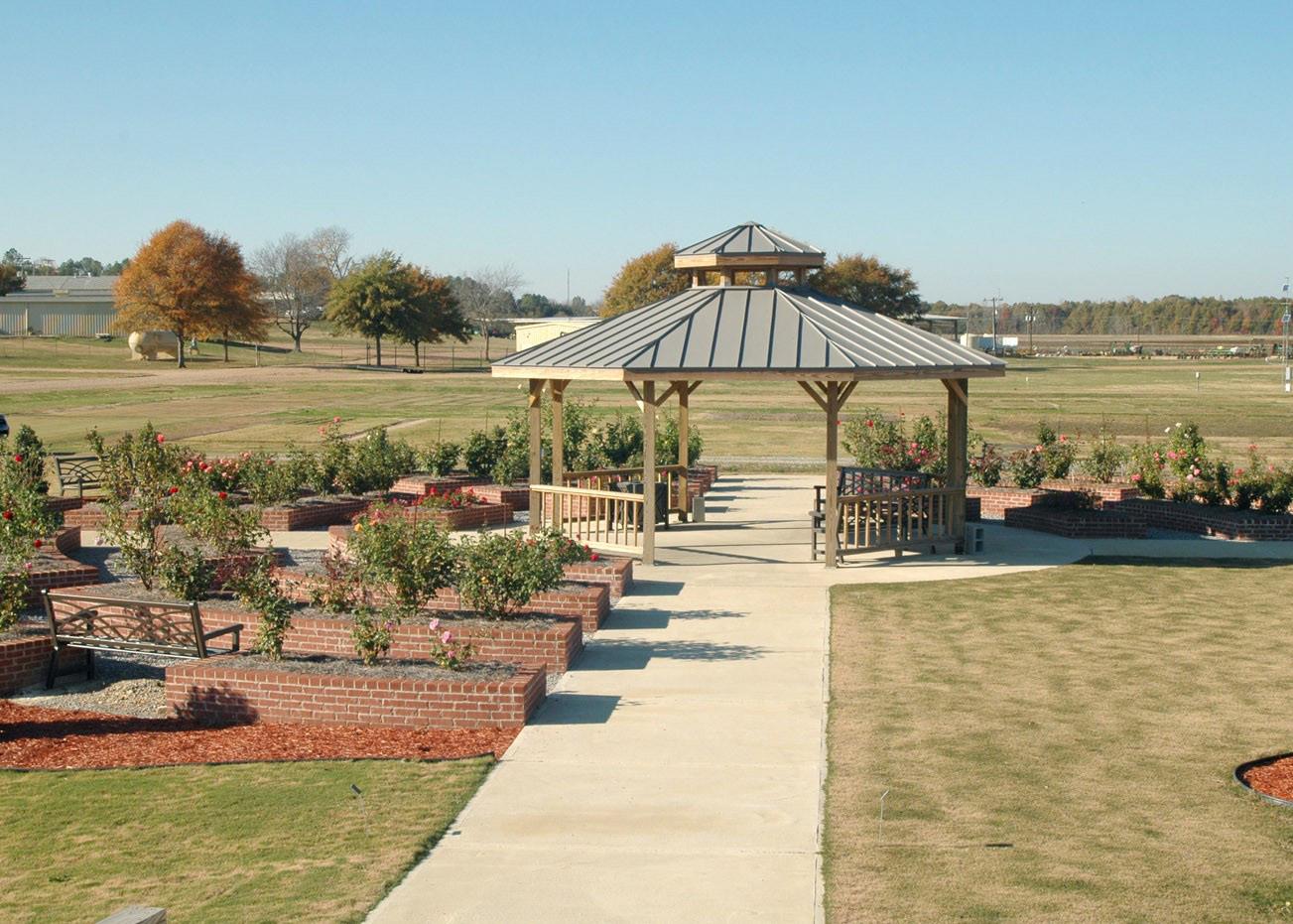 The Veterans Memorial Rose Garden is located at the Highway 182 entrance to Mississippi State University's Foil Plant Science Research Facility. In addition to use as a research and teaching facility, the rose garden is open to the public and can be scheduled for weddings and other events. (Photo by Bob Ratliff)