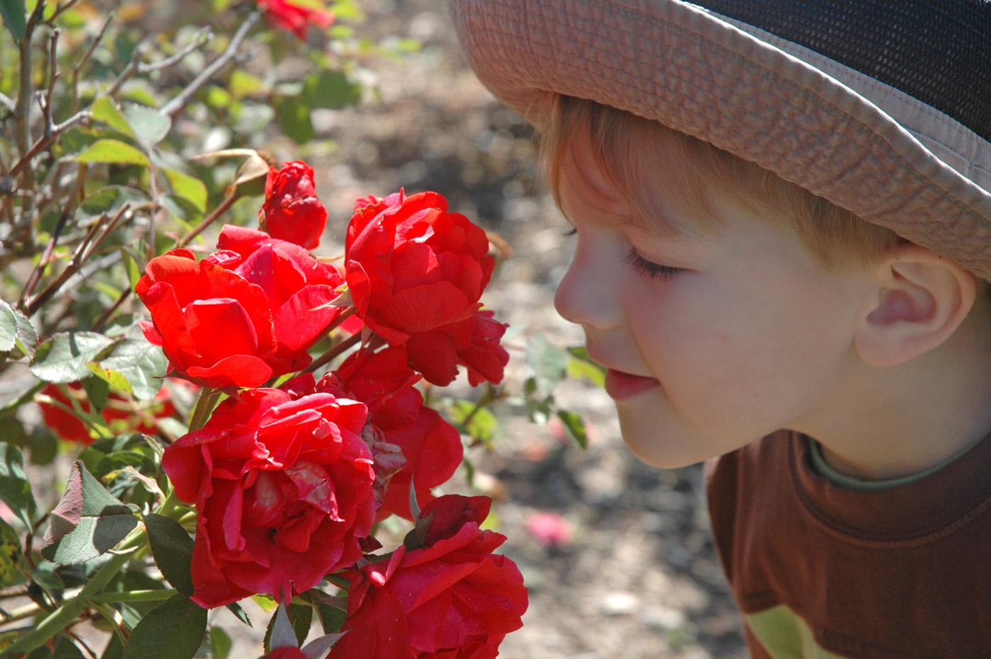 Ebra Angle of Pontotoc moves closer to stop and smell the roses at the recent Spring Garden Day at the North Mississippi Extension and Research Center in Verona. (Photos by Patti Drapala)