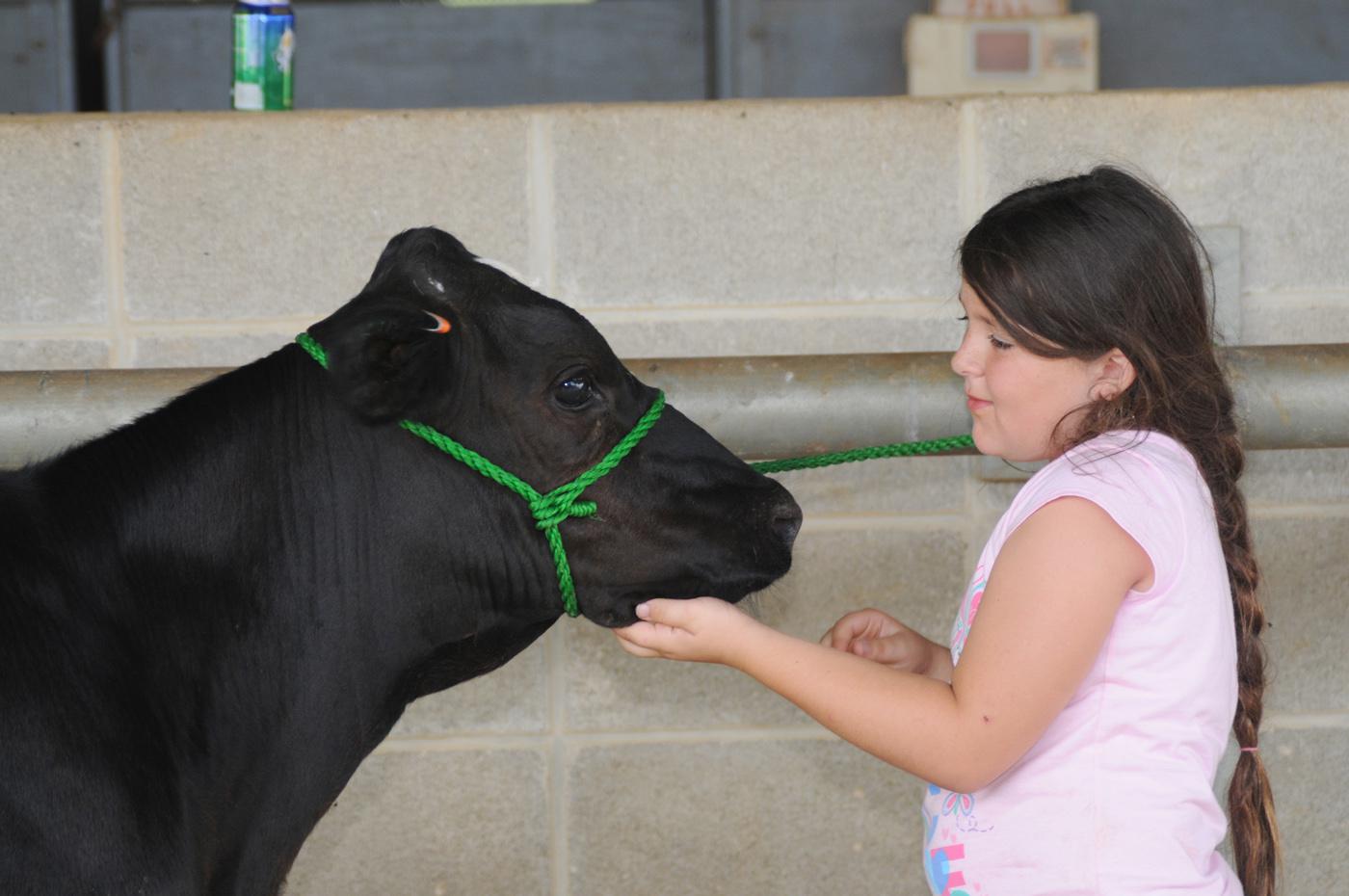 Emmie Rowlen, 8, of Webster County, affectionately pats her dairy calf during a break at Mississippi State University's 4-H dairy cow camp. (Photo by MSU Ag Communications/Kat Lawrence)