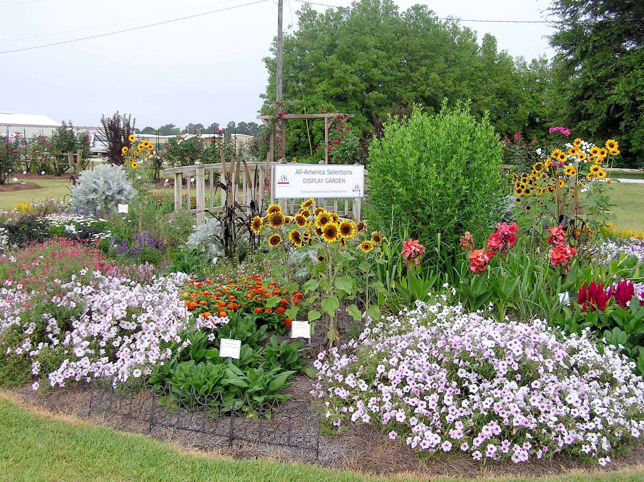 The South Mississippi Branch Experiment Station in Poplarville recently won first place in the All-America Selections' Landscape Design Contest. (Submitted Photo)