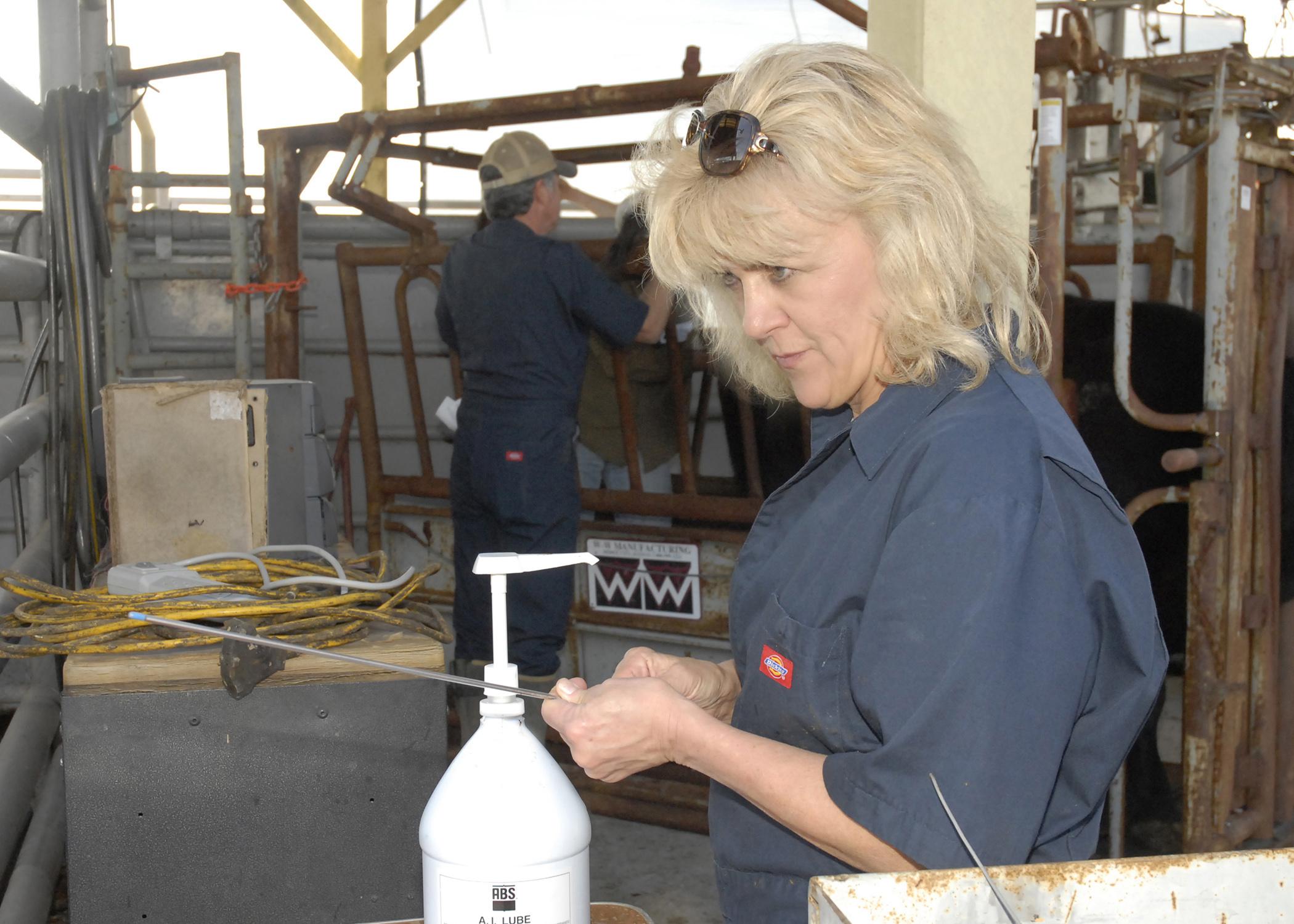 Dr. Linda Farris of the Animal Health Center in Brookhaven examines an artificial insemination rod before use. Farris took part in Mississippi State University's reproduction workshop for cattle producers on March 15, 2013. (Photo by MSU Ag Communications/Linda Breazeale)