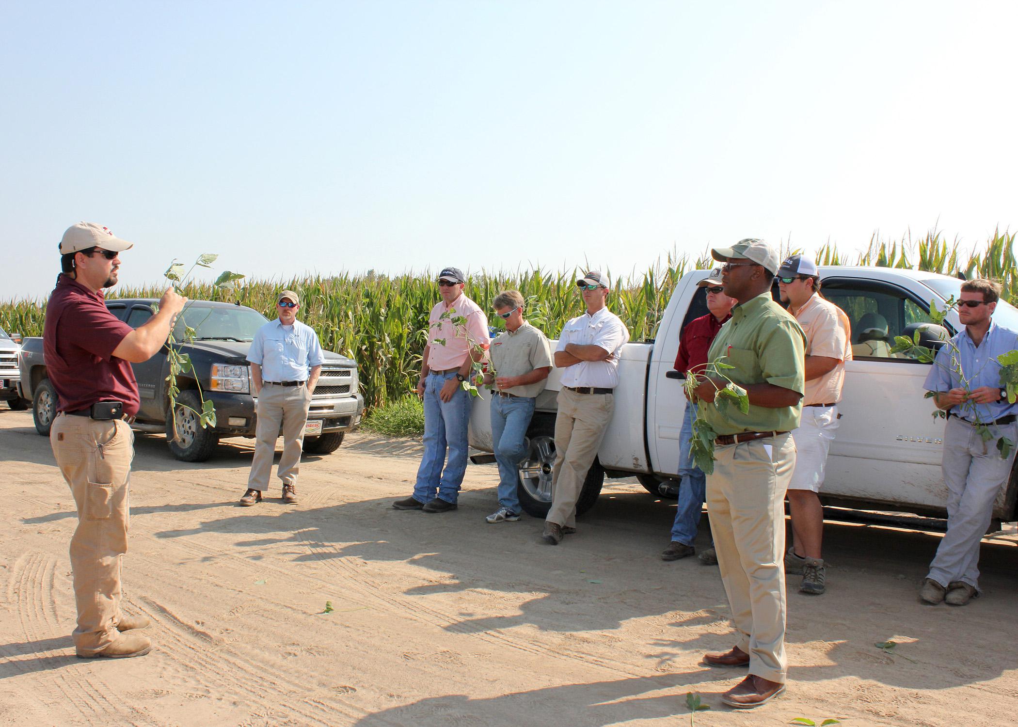 Trent Irby, left, demonstrated how to determine the maturity level of soybeans Aug. 30, 2013, at Mississippi State University's Delta Research and Extension Center in Stoneville. Producers can conserve water and save money on irrigation by correctly timing termination. (Photo by MSU Ag Communications/Bonnie Coblentz)