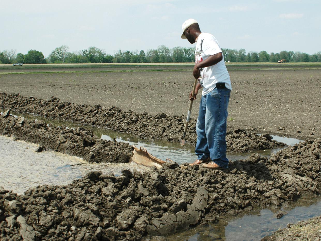 Steven Felston, an agricultural assistant at MSU's Delta Research and Extension Center, is flushing a recently flooded rice field on April 16, 2010. (Photo by Rebekah Ray)