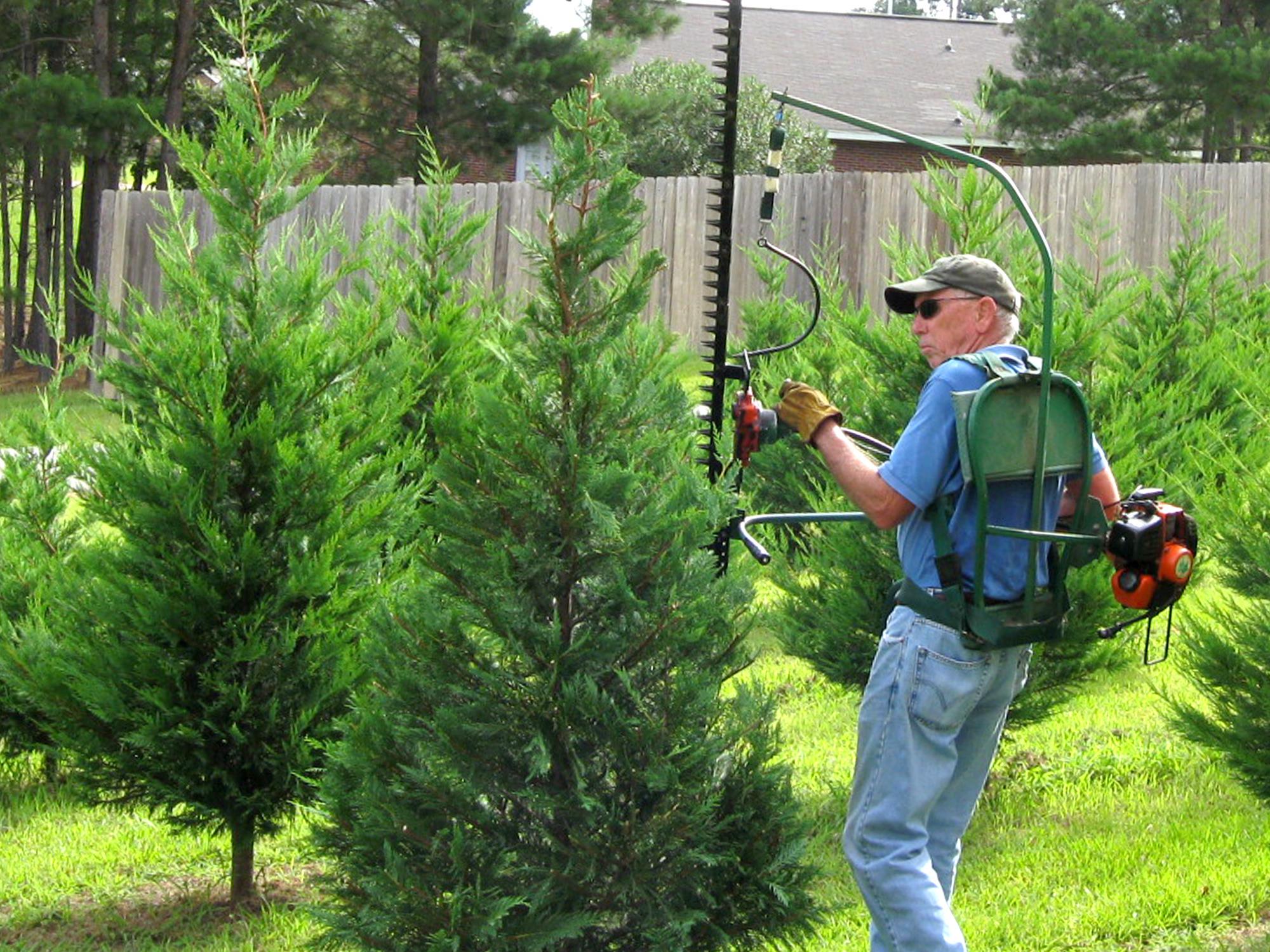 Christmas tree farmer Bob Shearer, of Purvis, uses a shearing machine to trim trees on his farm. Producers anticipate a 7 percent increase in Christmas tree sales this year. (Submitted photo)