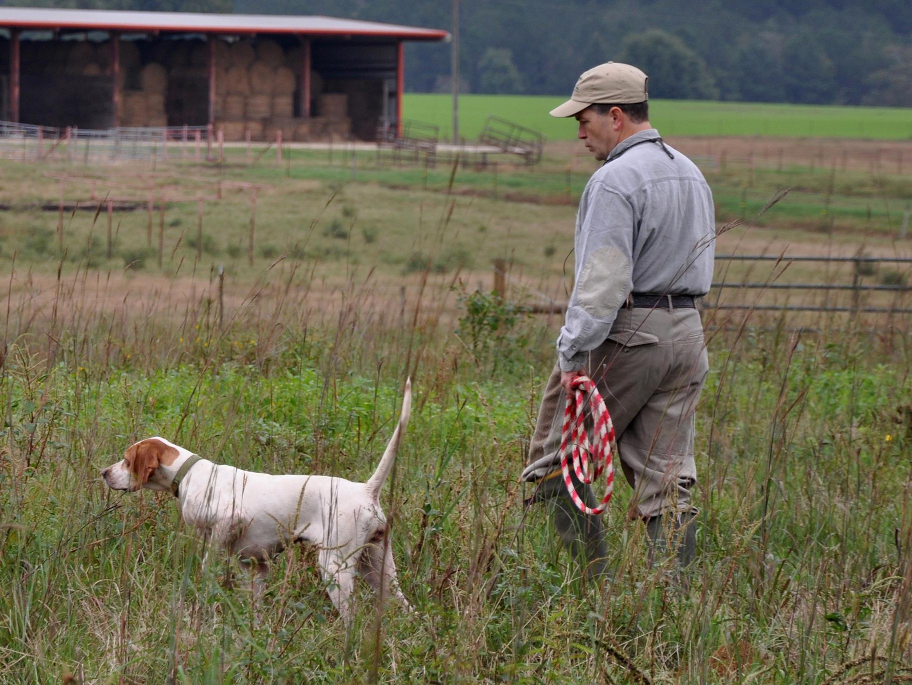 Man walks beside his bird dog on point in a pasture with a hay barn in the background.