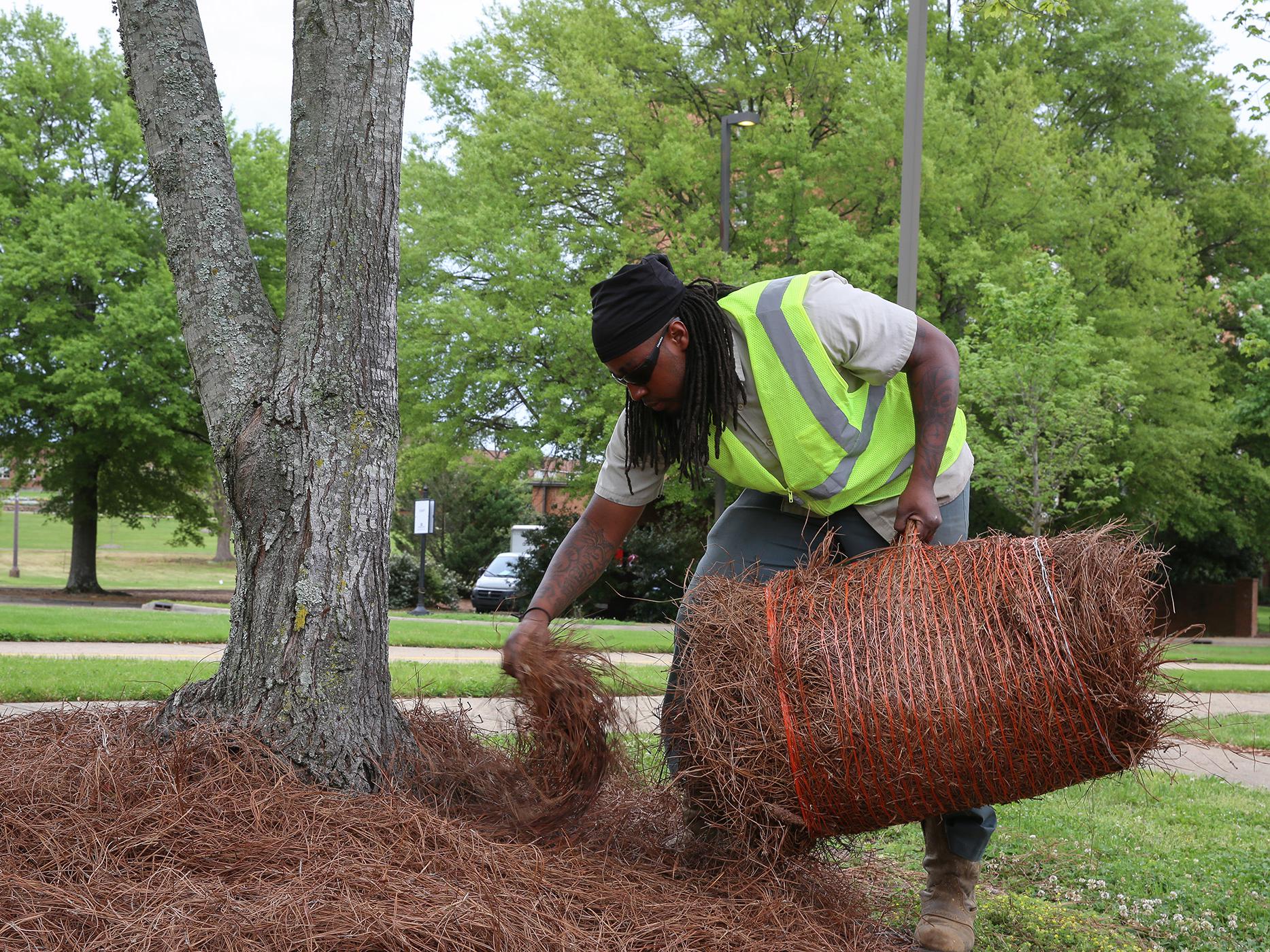 A man in a reflective vest leans over holding a bale of pine straw in one hand while using the other hand to spread pine straw on the ground.