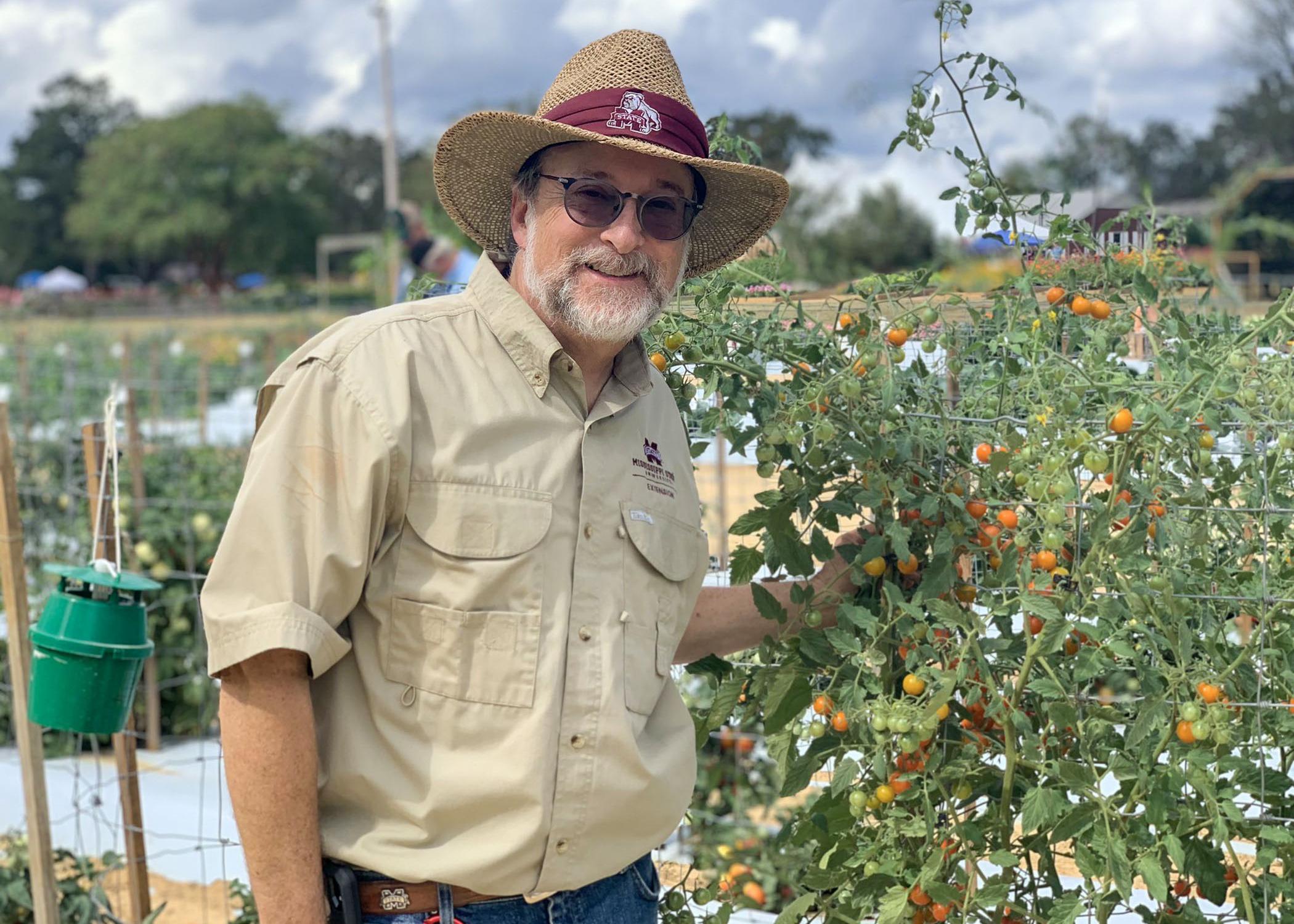 A man in a hat stands next to a bush covered in tomatoes growing inside a wire frame.