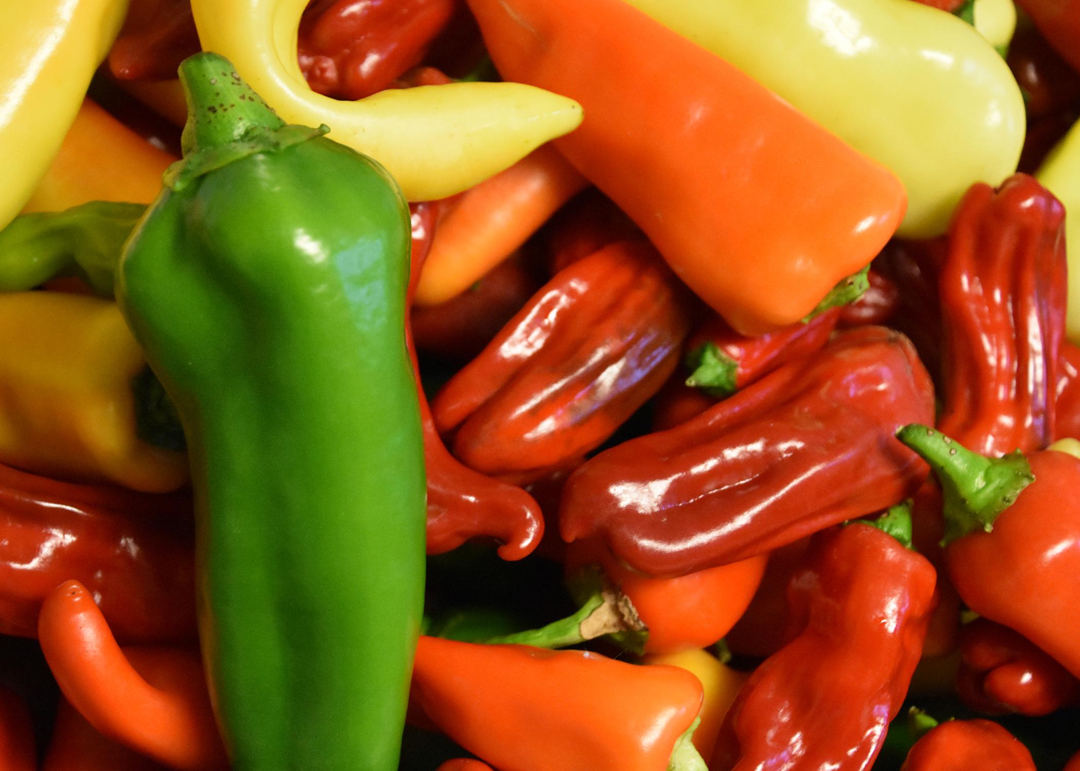 A slender, green pepper sits atop a collection of yellow, red and orange peppers.