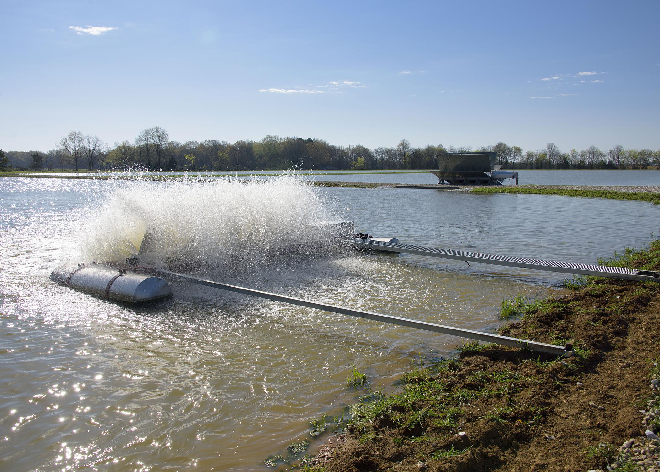 A pond with a surface aerator.