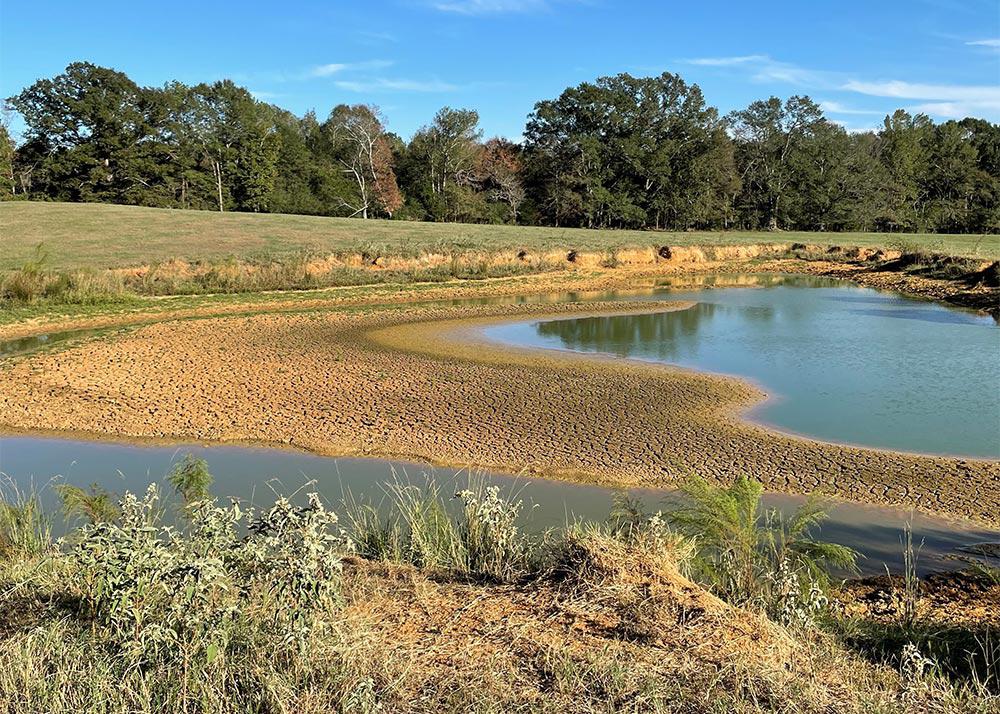 Dried up pond