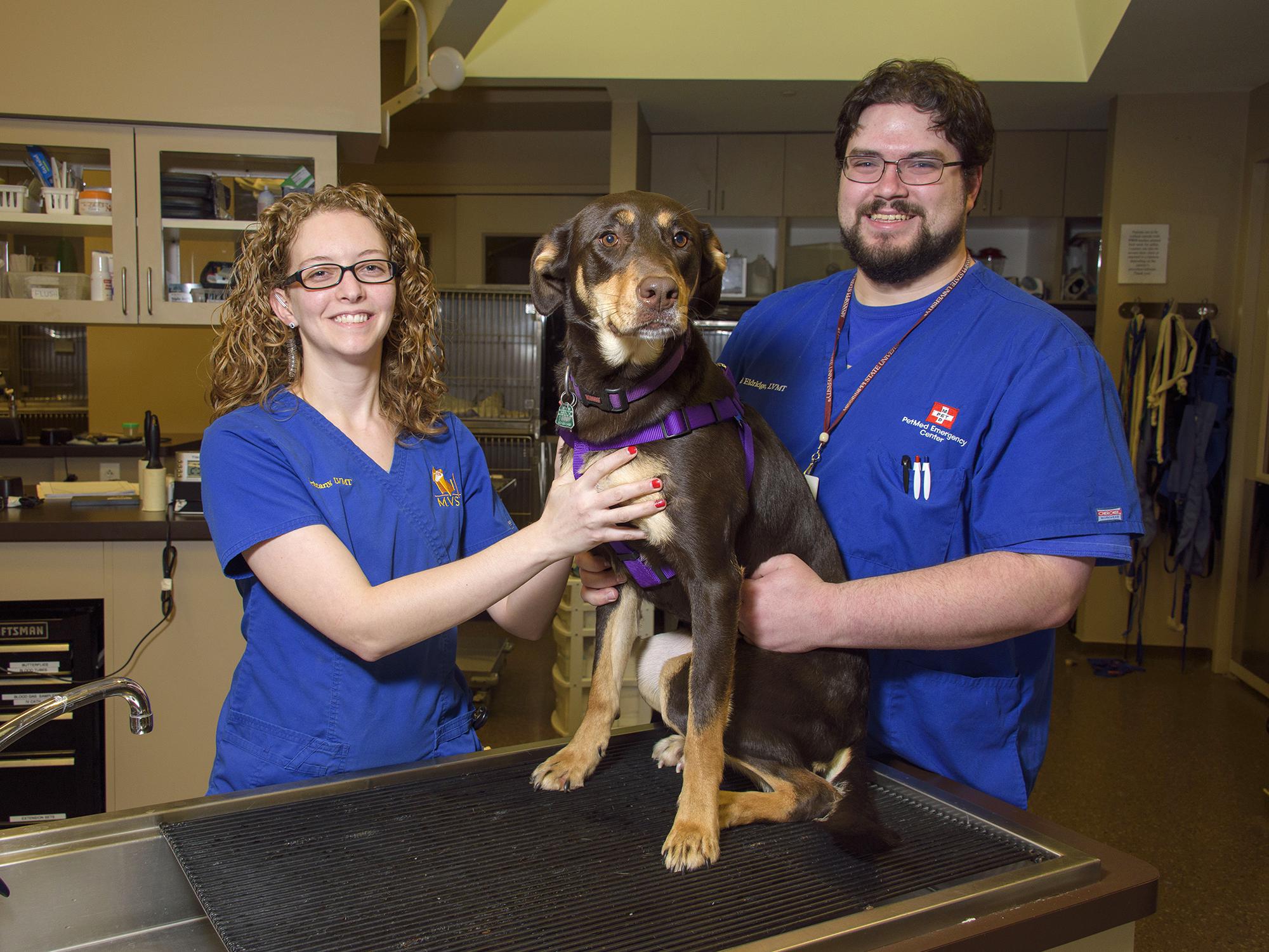 Mississippi State University College of Veterinary Medicine graduates Brittany Storey and David Eldridge are both pursuing careers as veterinary medical technicians in Memphis, Tennessee. (Photo by MSU Extension/Kevin Hudson)