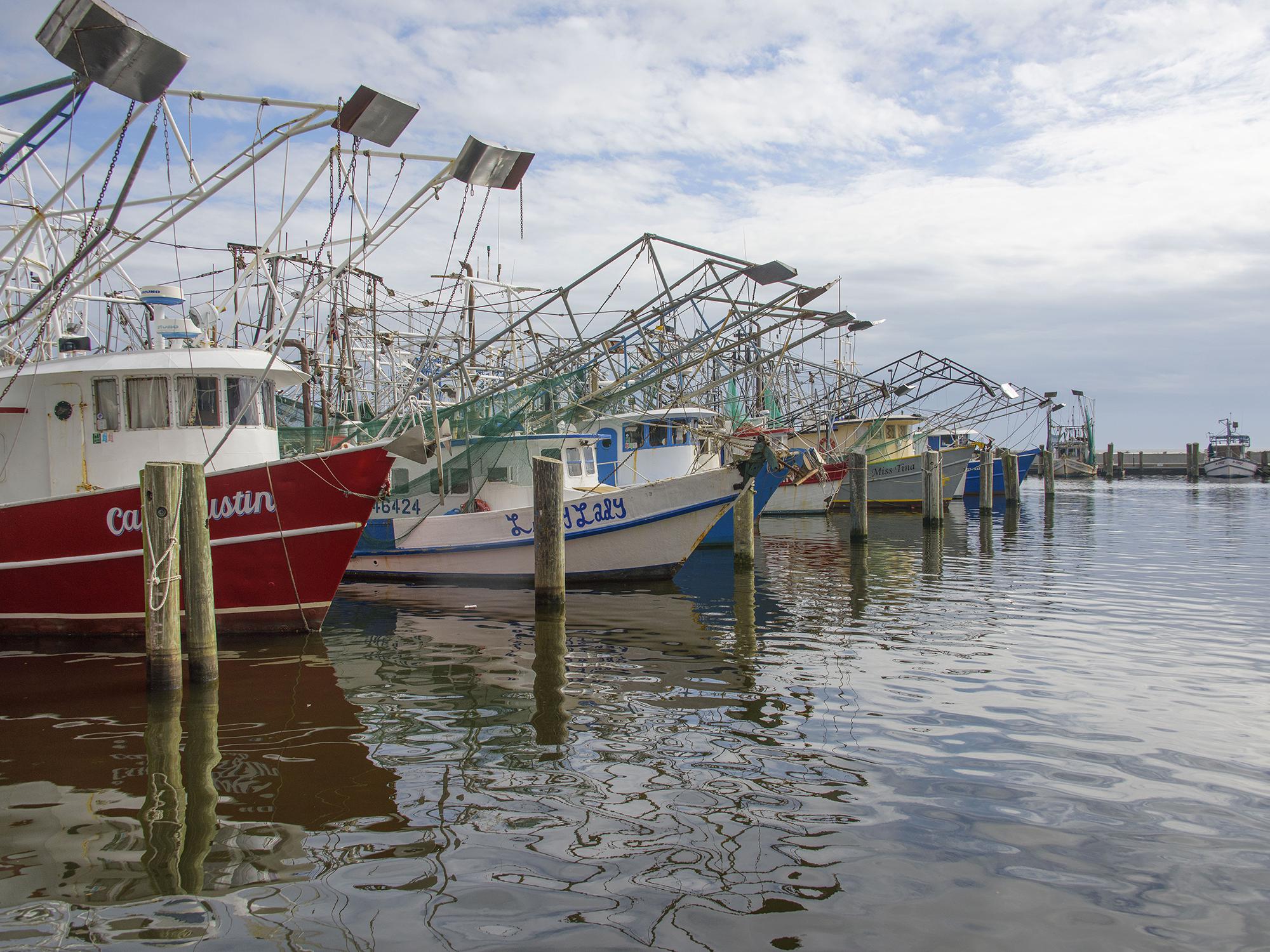 Shrimp boats at rest in the Biloxi Small Craft Harbor in Biloxi, Mississippi, Jan. 25, 2016. (Photo by MSU Extension Service/Kevin Hudson)