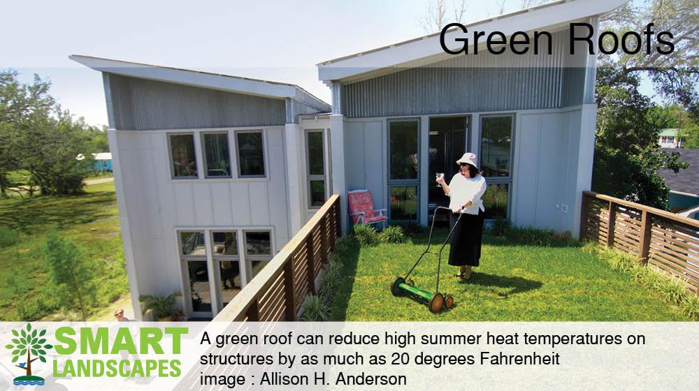 Home with women mowing green roof lawn while holding drink