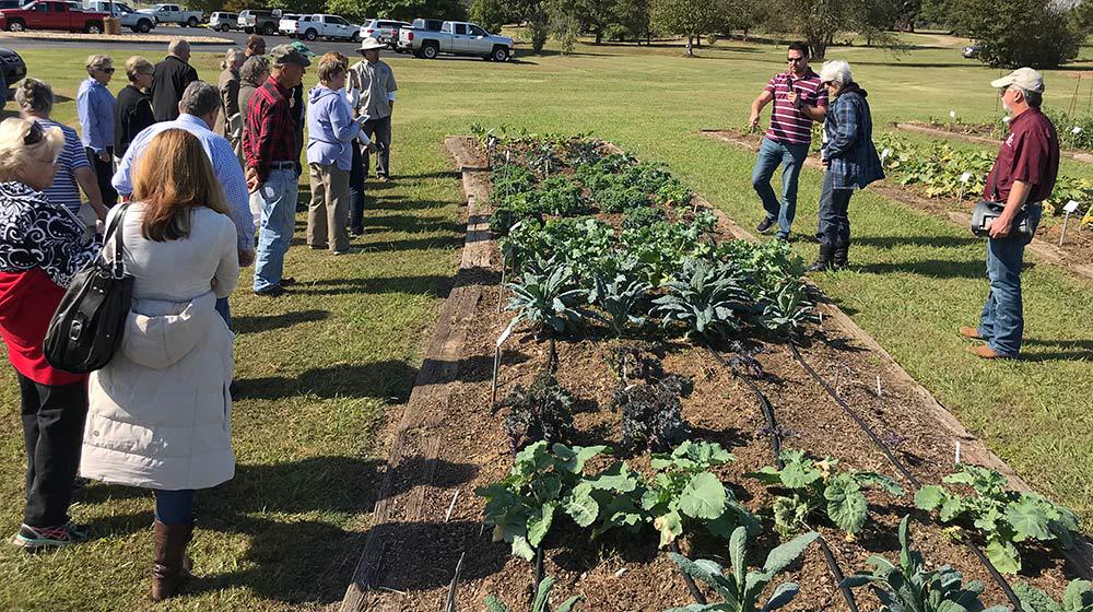 Fall field day.