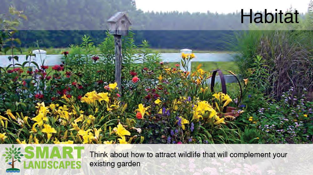 Mixed border of perennial and annual flowers, grasses, and shrubs